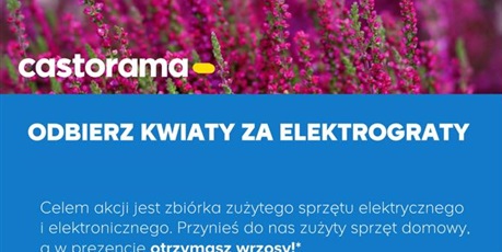 Zapraszamy do udziału w ekoakcji "Kwiaty za elektrograty" 