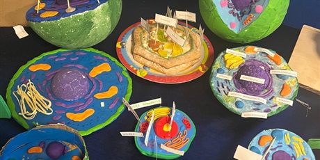 Wystawa prac uczniów "Model komórki"